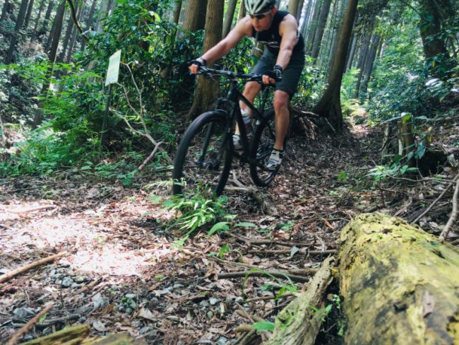 Mountain Biking in Odawara