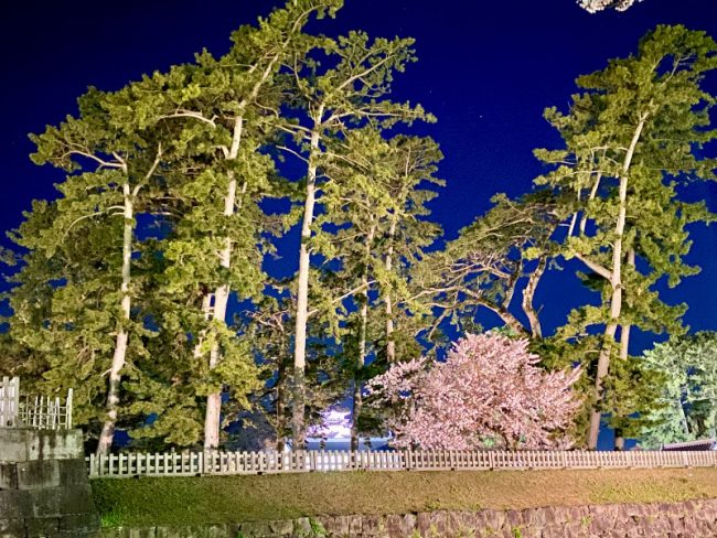 Odawara Castle at Night