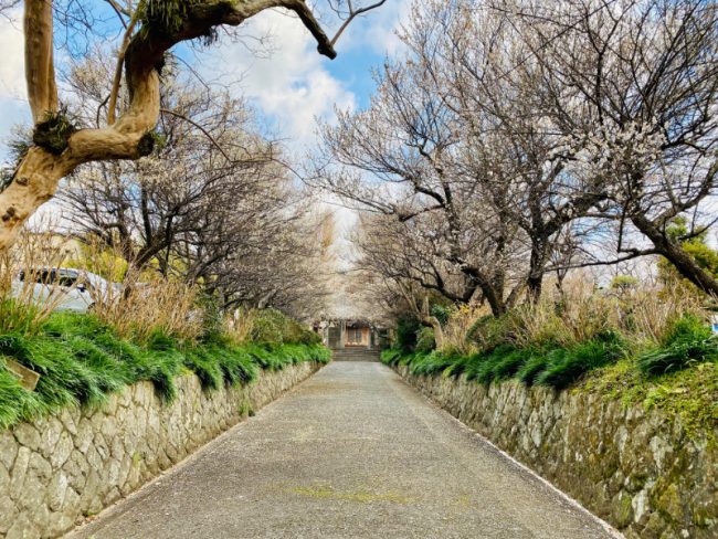 Odawara Castle Road Kanagawa