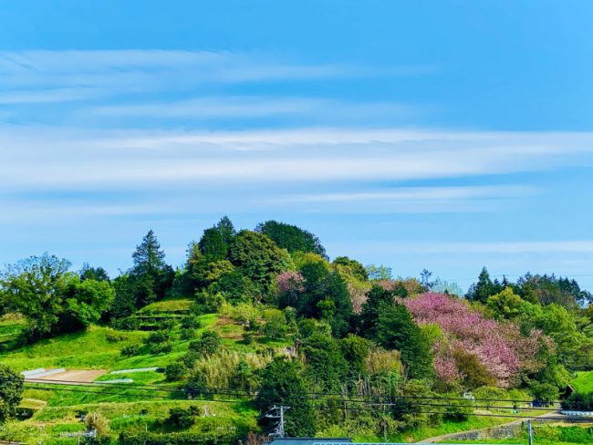 Mountain View in Odawara Kanagawa Japan